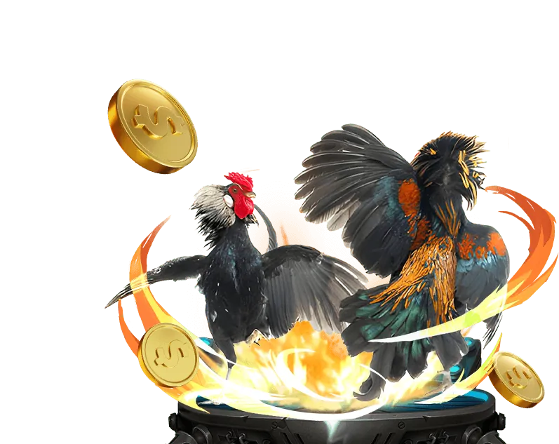 Đội ngũ hỗ trợ khách hàng 58vip